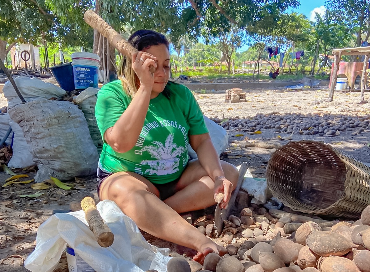 Ofício das quebradeiras de coco babaçu é reconhecido como patrimônio cultural