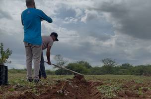 Piauí volta a registrar áreas livres da seca e 54 municípios saem da estiagem (Foto: Divulgação)