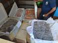 PRF apreende 650 kg de queijo e pescados sem documentação na BR-343 em Parnaíba