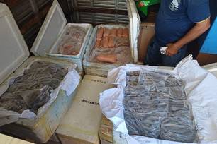 PRF apreende 650 kg de queijo e pescados sem documentação na BR-343 em Parnaíba (Foto: Divulgação)