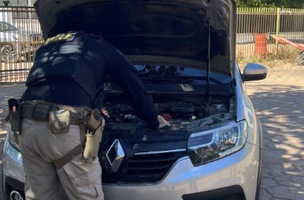 PRF prende no Piauí homem com carro roubado na Bahia (Foto: Divulgação)