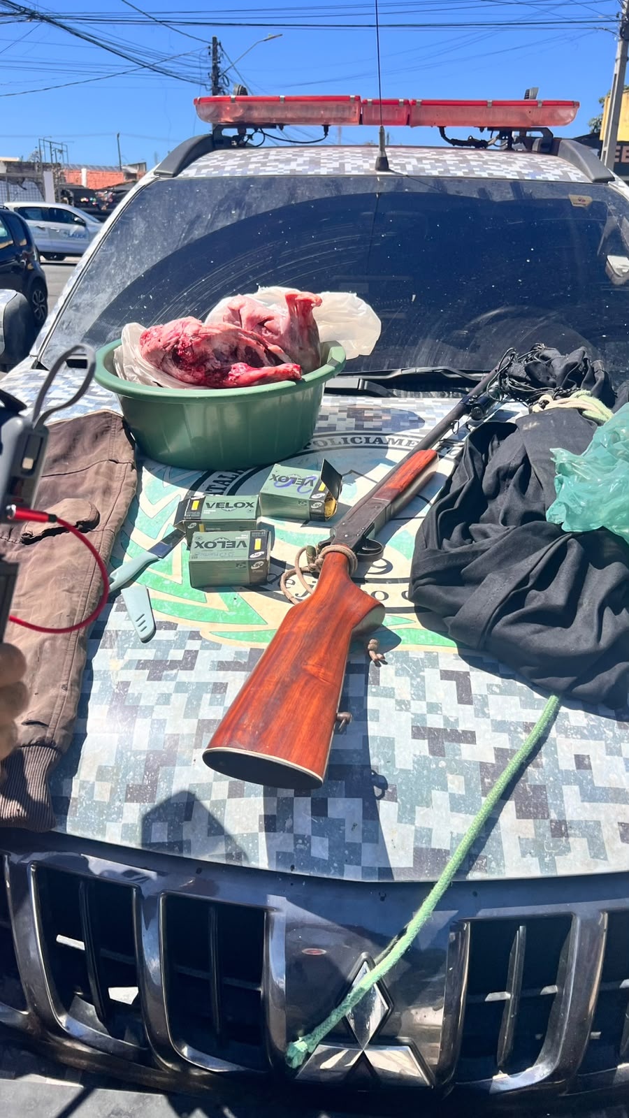 Polícia apreende arma, munições e animais silvestres abatidos em Teresina