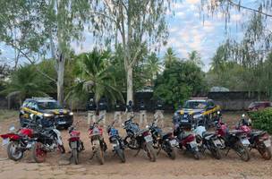 PRF realizou Operação Duplicatus II e recupera 49 veículos no Piauí (Foto: Divulgação)