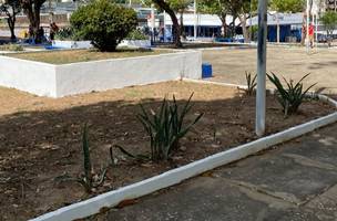 Agosto começa com obras e revitalizações em diversos pontos de Teresina (Foto: Divulgação)
