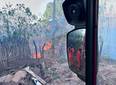 Bombeiros combatem incêndio e salvam animais no interior do Piauí