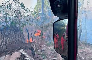 Bombeiros combatem incêndio e salvam animais no interior do Piauí (Foto: Divulgação)