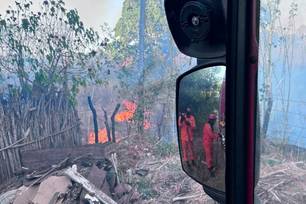 Bombeiros combatem incêndio e salvam animais no interior do Piauí (Foto: Divulgação)