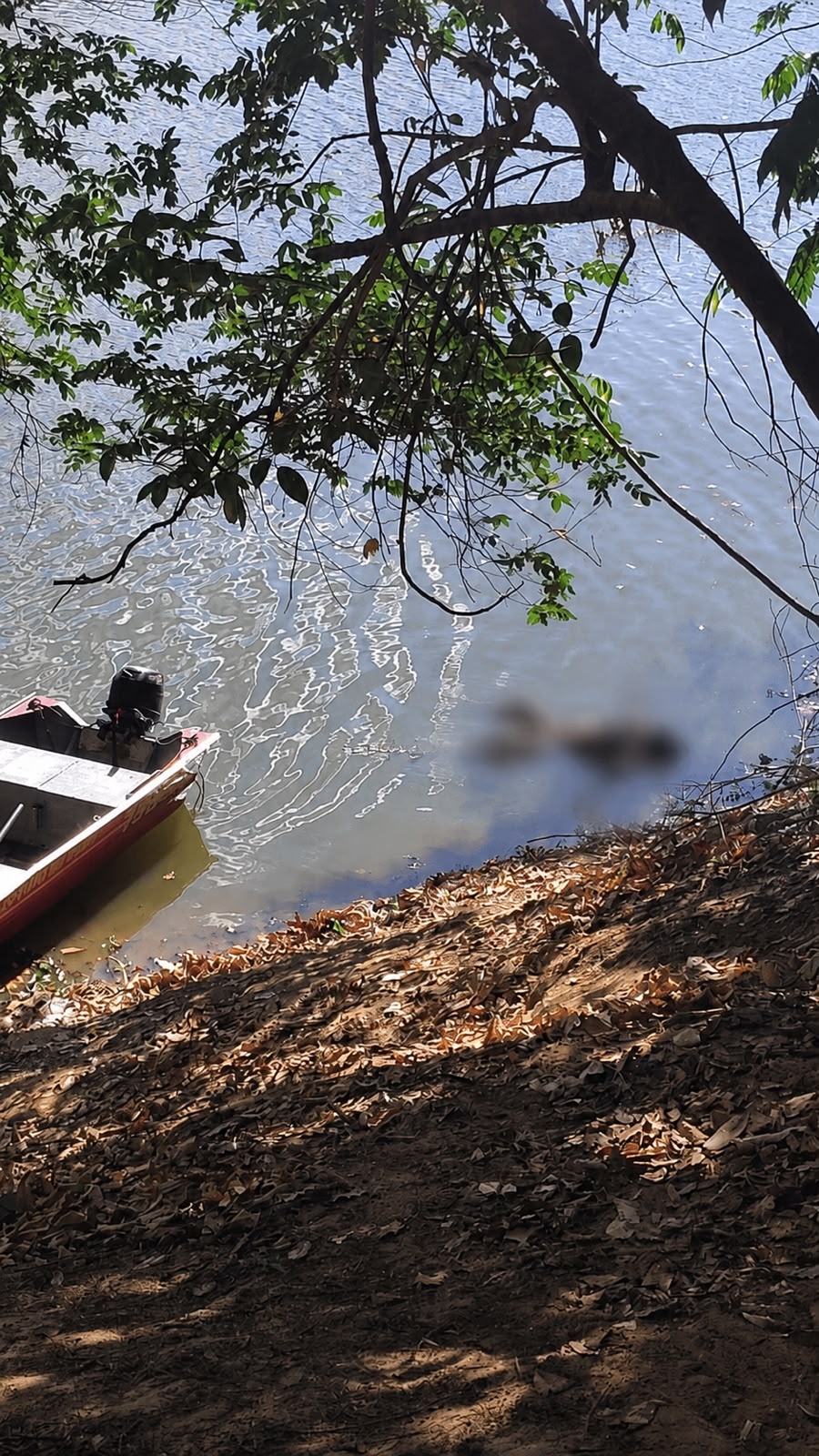 Bombeiros localizam corpo que foi avistado boiando no rio Poti em Teresina