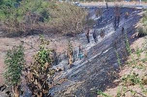 Com avanço do período seco, Defesa Civil reforça alerta contra queimadas (Foto: Divulgação)