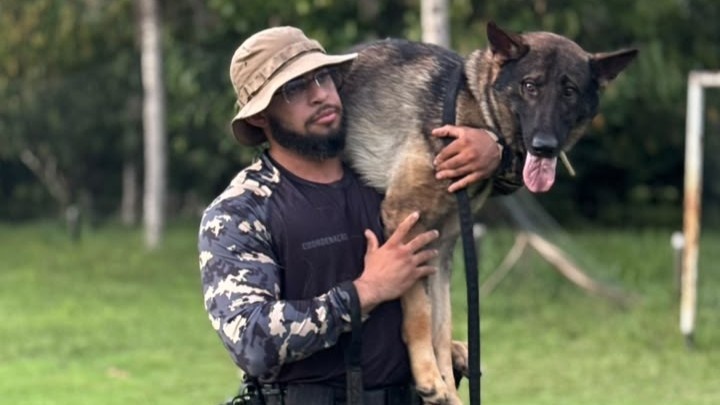 Conheça a atuação de elite do Grupamento de Operações com Cães de Teresina