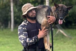 Conheça a atuação de elite do Grupamento de Operações com Cães de Teresina