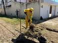 Mutirão de limpeza contra dengue chega ao bairro Pio XII neste sábado (8)