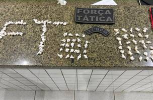 Polícia Militar apreende 100 pedras de crack no litoral do Piauí (Foto: Divulgação)