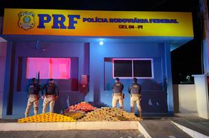 PRF apreende mais de 273 kg de drogas escondidas em  carreta no Piauí (Foto: Divulgação)