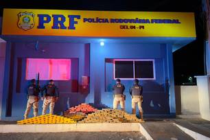 PRF apreende mais de 273 kg de drogas escondidas em  carreta no Piauí (Foto: Divulgação)