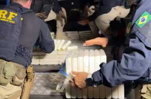PRF apreende quase meia tonelada de cocaína em caminhão na BR-402, no Piauí (Foto: Divulgação)