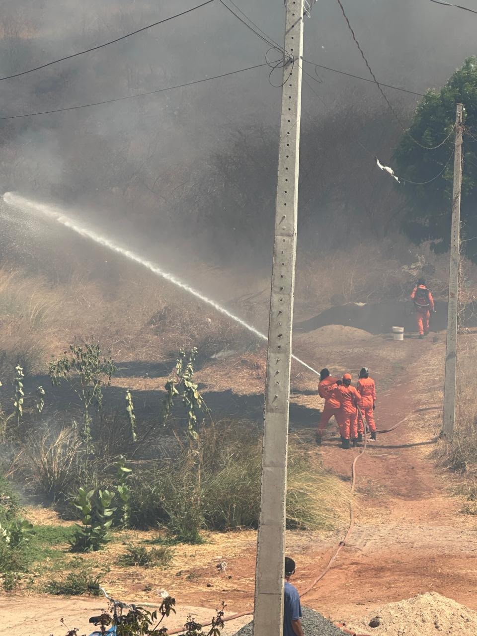 Bombeiros atendem 5 incêndios em vegetação em apenas 5h no último feriado