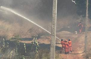 Bombeiros atendem 5 incêndios em vegetação em apenas 5h no último feriado (Foto: Divulgação)