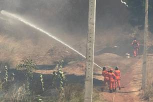 Bombeiros atendem 5 incêndios em vegetação em apenas 5h no último feriado