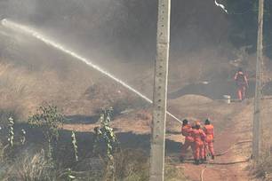 Bombeiros atendem 5 incêndios em vegetação em apenas 5h no último feriado (Foto: Divulgação)