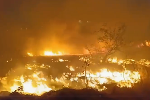 Bombeiros são acionados e combatem incêndio em vegetação no Piauí; vídeo (Foto: Divulgação)