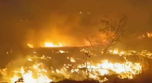 Bombeiros são acionados e combatem incêndio em vegetação no Piauí; vídeo