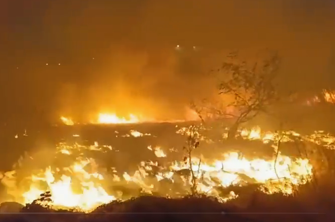 Bombeiros são acionados e combatem incêndio em vegetação no Piauí; vídeo