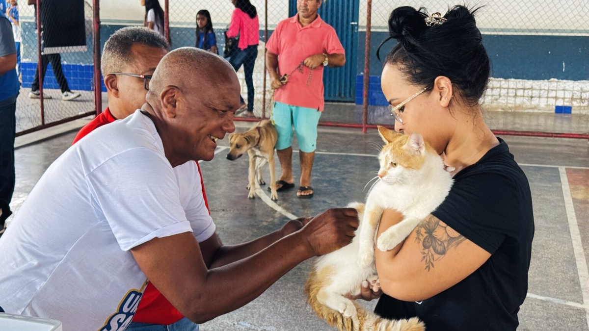 Prefeitura reforça alerta para vacinação de cães e gatos em Timon