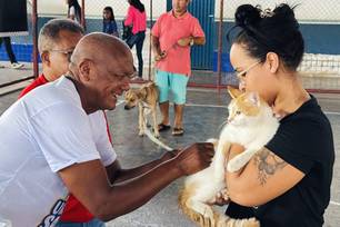 Prefeitura reforça alerta para vacinação de cães e gatos em Timon (Foto: Divulgação)