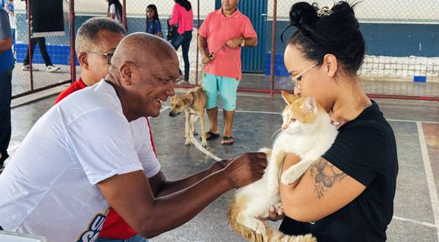 Prefeitura reforça alerta para vacinação de cães e gatos em Timon
